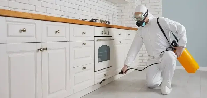 Professzionális hangyairtás konyhában, védőruhás szakember permetezéssel kezeli a szekrények alatti területet