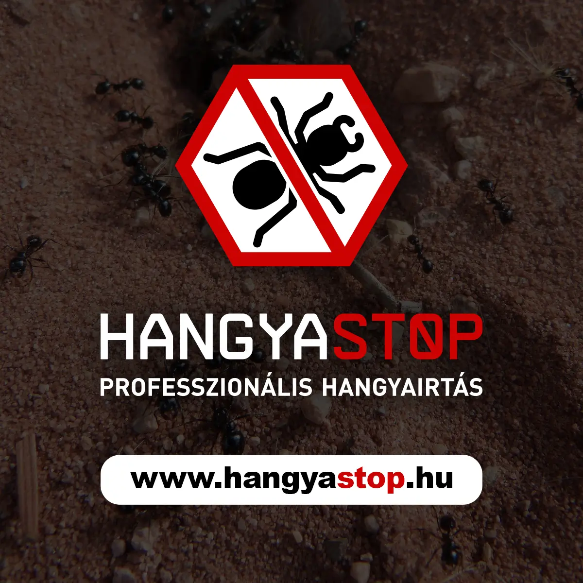 Hangyastop - Professzionális hangyairtás - logo.