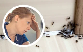 Fejét fogja egy aggódó nő, mert hangyák lepték el a szoba sarkát.